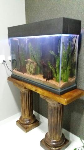 AQUARIO MONTADO 180 Lts