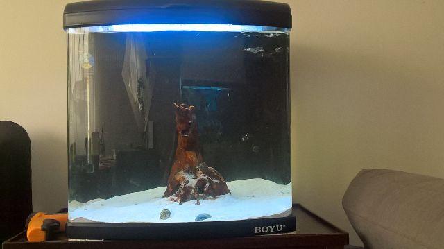 Aquário Boyu/jad Mt  Litros 220v