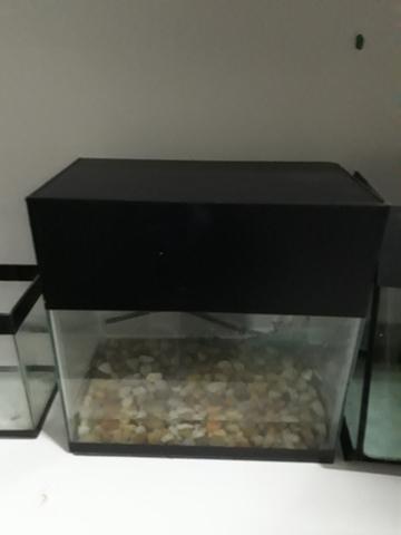 Mini aquário