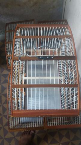 Pra vender 5 gaiolas filé