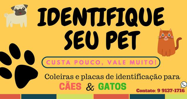 Coleiras para cães e gatos com placa de identificação!