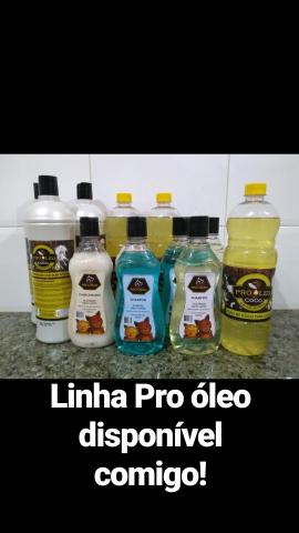 Shampoo, condicionador e óleo de coco