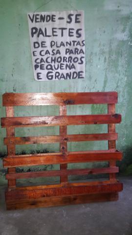 Vende se casa para cachorro e palete de planta