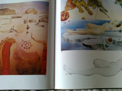 Salvador Dali, Livro Com Te 780 Paginas 