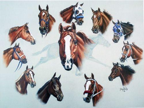 Treinamento de Cavalos