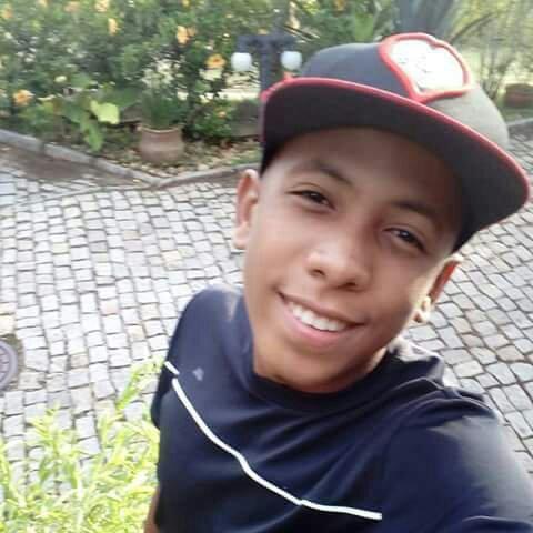 Passeio Com Cachorros