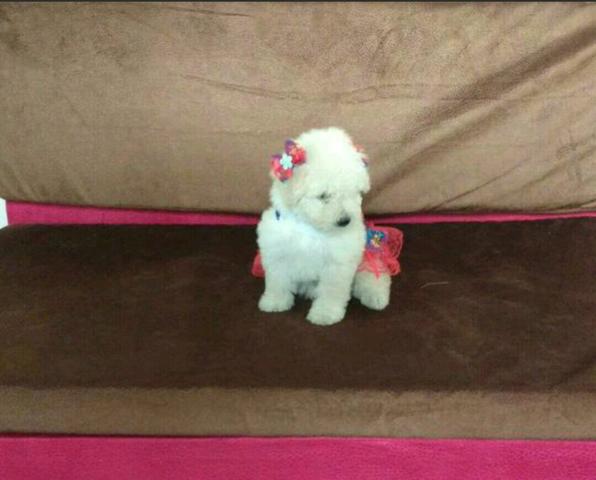 Mini toy crescen ate 28 ctm com 2 messes