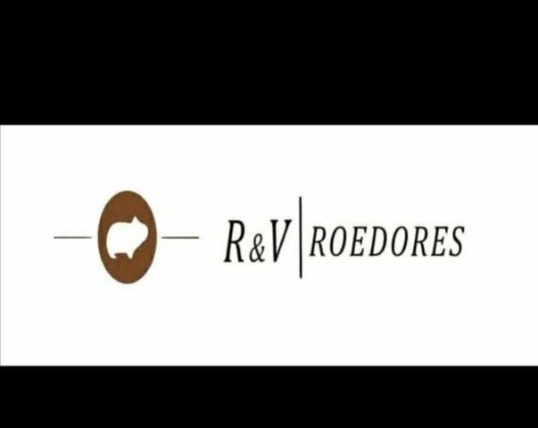 R&V Roedores