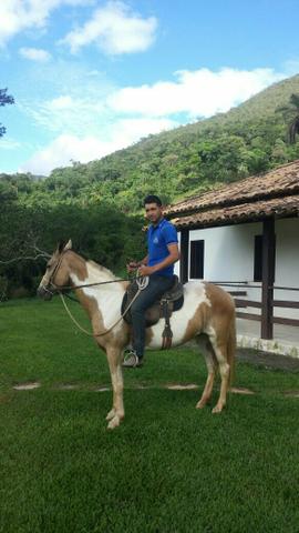 Egua manga larga 4 anos marcha batida muito macia