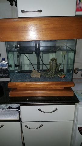 Aquário 60cm