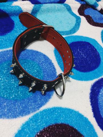 Coleira sem uso! Para cachorro de medio porte