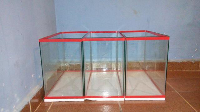 Aquario novo  litros chama no whats