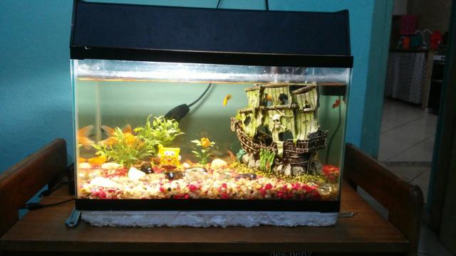 Aquário 20 litros