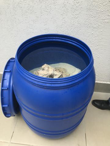 Bombona + substrato + rochas