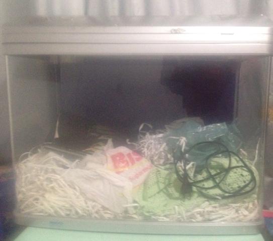 Tanque para Aquário