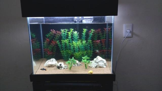 Vende-se Aquários - Aceito Cartão