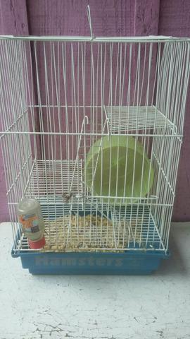 Só hj 35 gaiola hamster
