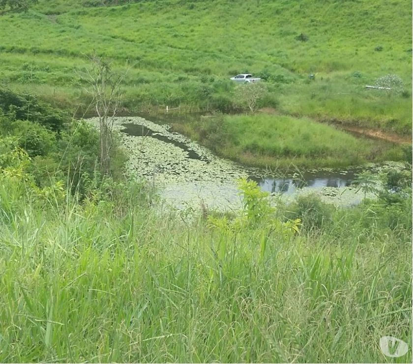 Vendo linda fazenda de 24 alqueires região de PotéMG