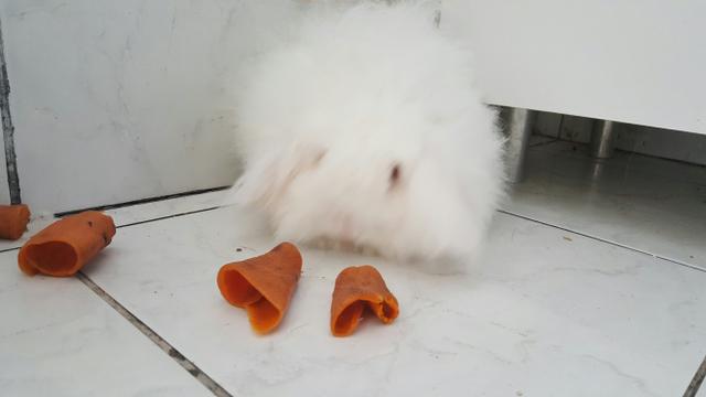Fuzzy lop