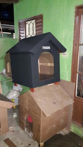 Casinha de cachorros e palete de planta