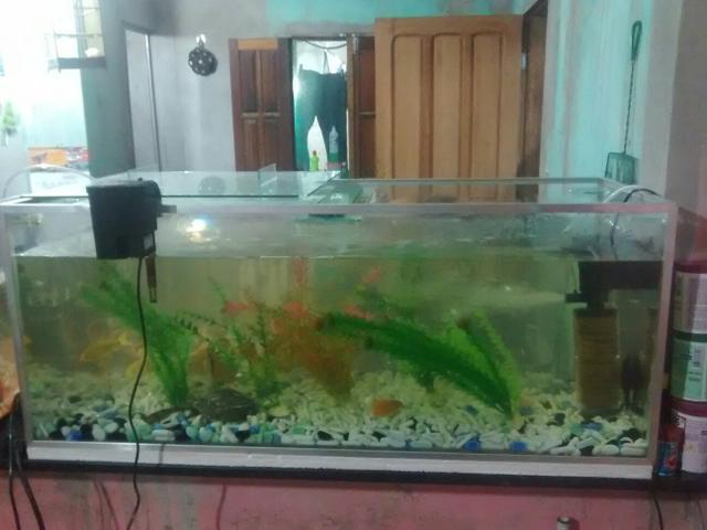 Vendo ou t.aquario semi-novo com 40 dias de uso