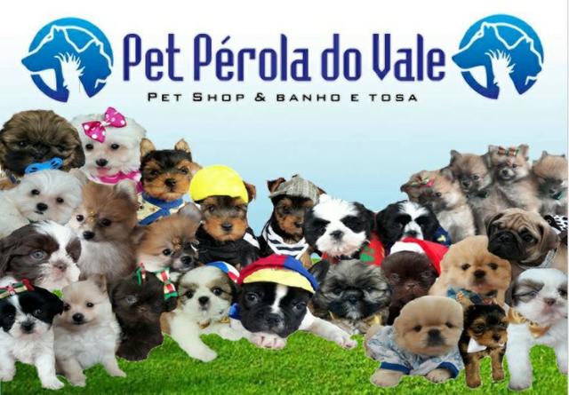 Pet Pérola do Vale