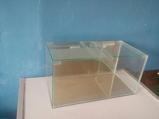 Aquario para peixes