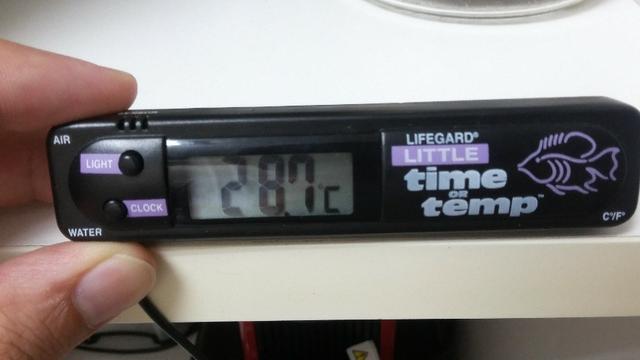 Termometro digital LifeGard time or temp