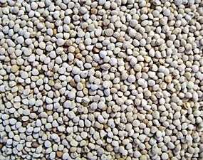 Perila Branca Semente Para Pássaros Pacote 1kg Super Limpa