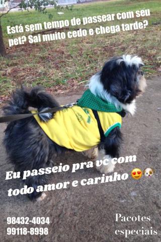 Dog walker - passeador de cães