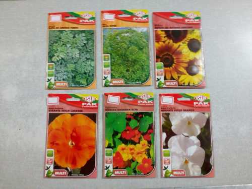 Sementes Casa Celular Moto Jardim Adulbo Ferramenta Beleza