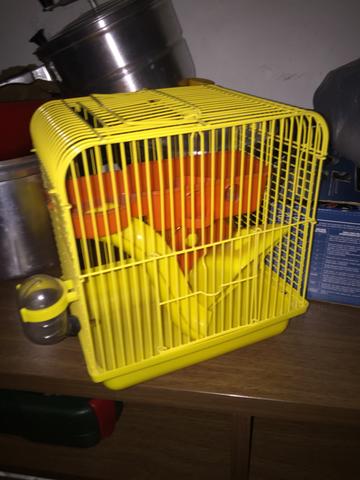Gaiola pequena hamster