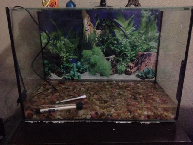 Aquario 40 litros