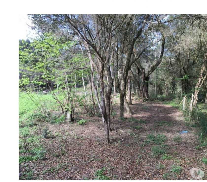 Chácara lindas águas