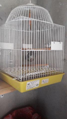 Gaiola Calopsita Petz