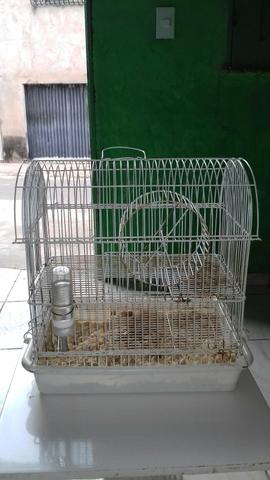 Pra vende logo.hamister com gaiola 50 reais