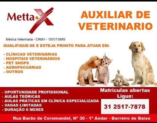 Auxiliar veterinario