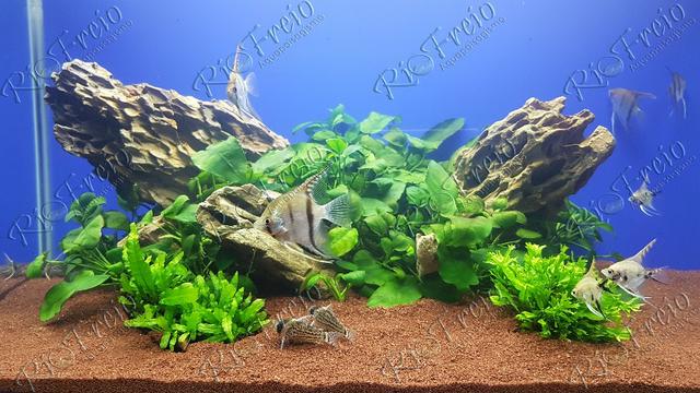 Cascalho Terracota Rio Freio para Aquários