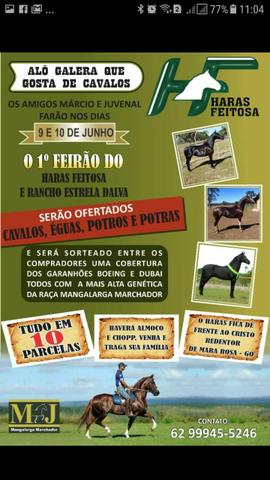 VENDIDO))) REGALO ZCM – Cavalos Helio Rocha