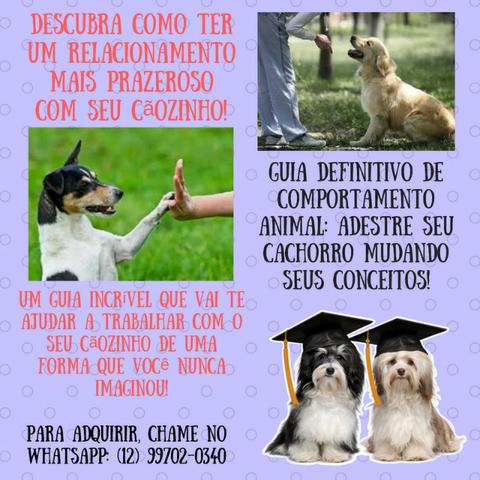 Adestramento: Guia Definitivo de comportamento Animal!
