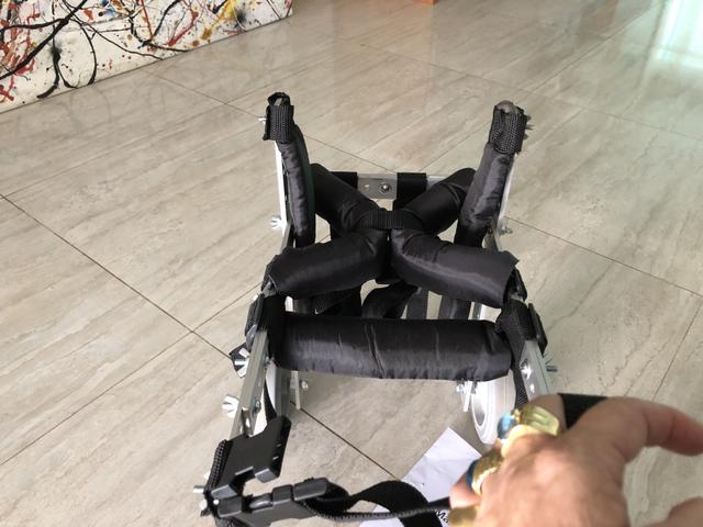 Cadeira de rodas p caës