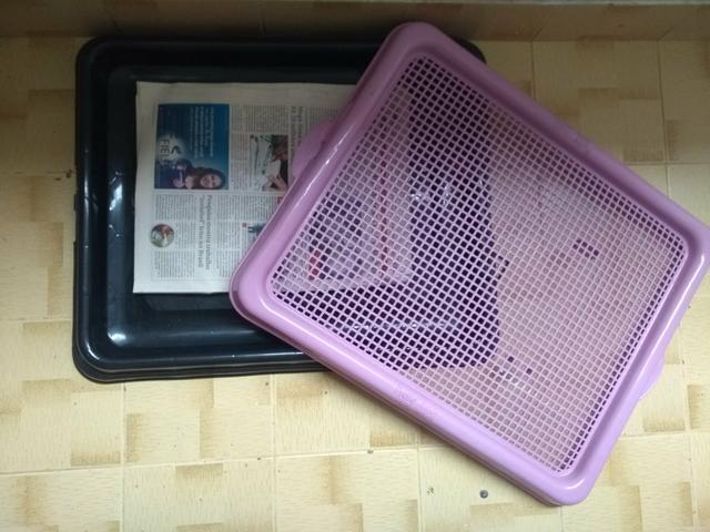 Caixa higiênica para cães