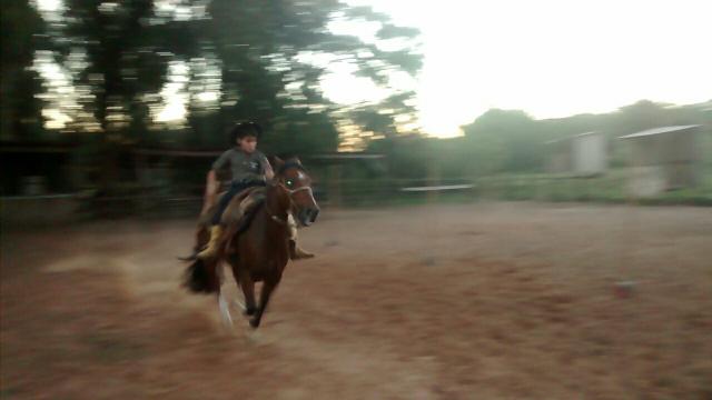 Cavalo crioulo BARBADA!!!!