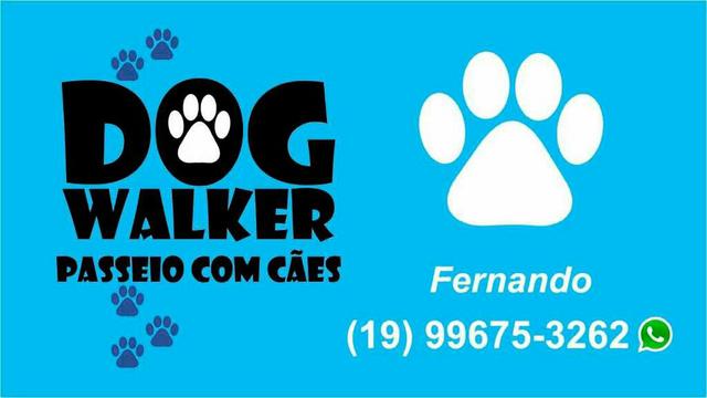 Dog Walker (Passeio com cães)