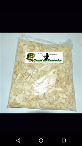 Loja canal do pescador