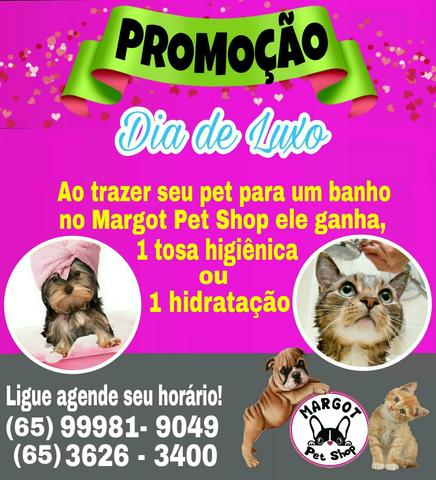 Promoção Margot Pet Shop