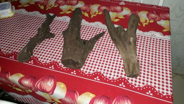 Pedras, troncos e conchas trituradas