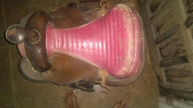 Sela quarto de milha