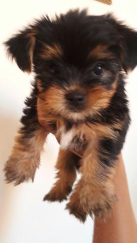 Aproveite ótima oportunidade!