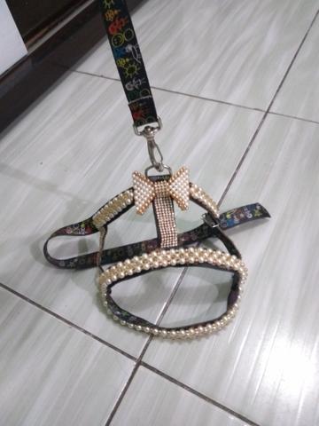 Coleira e Peitoral para seu PET